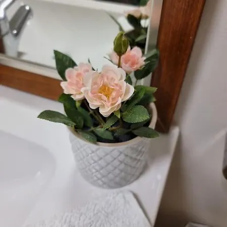 Appartement Casa Berry