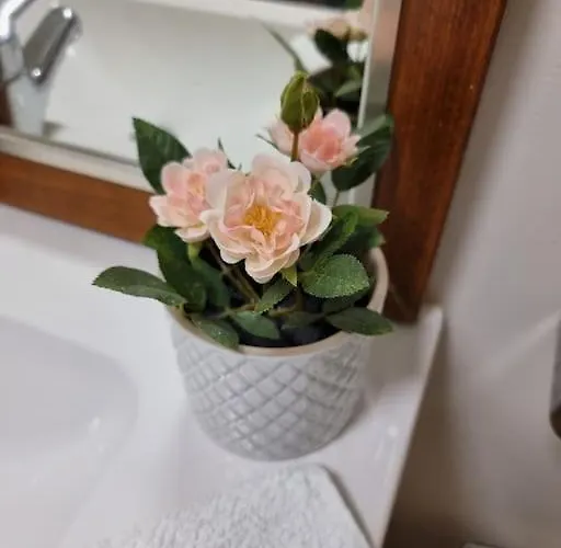 Apartamento Casa Berry